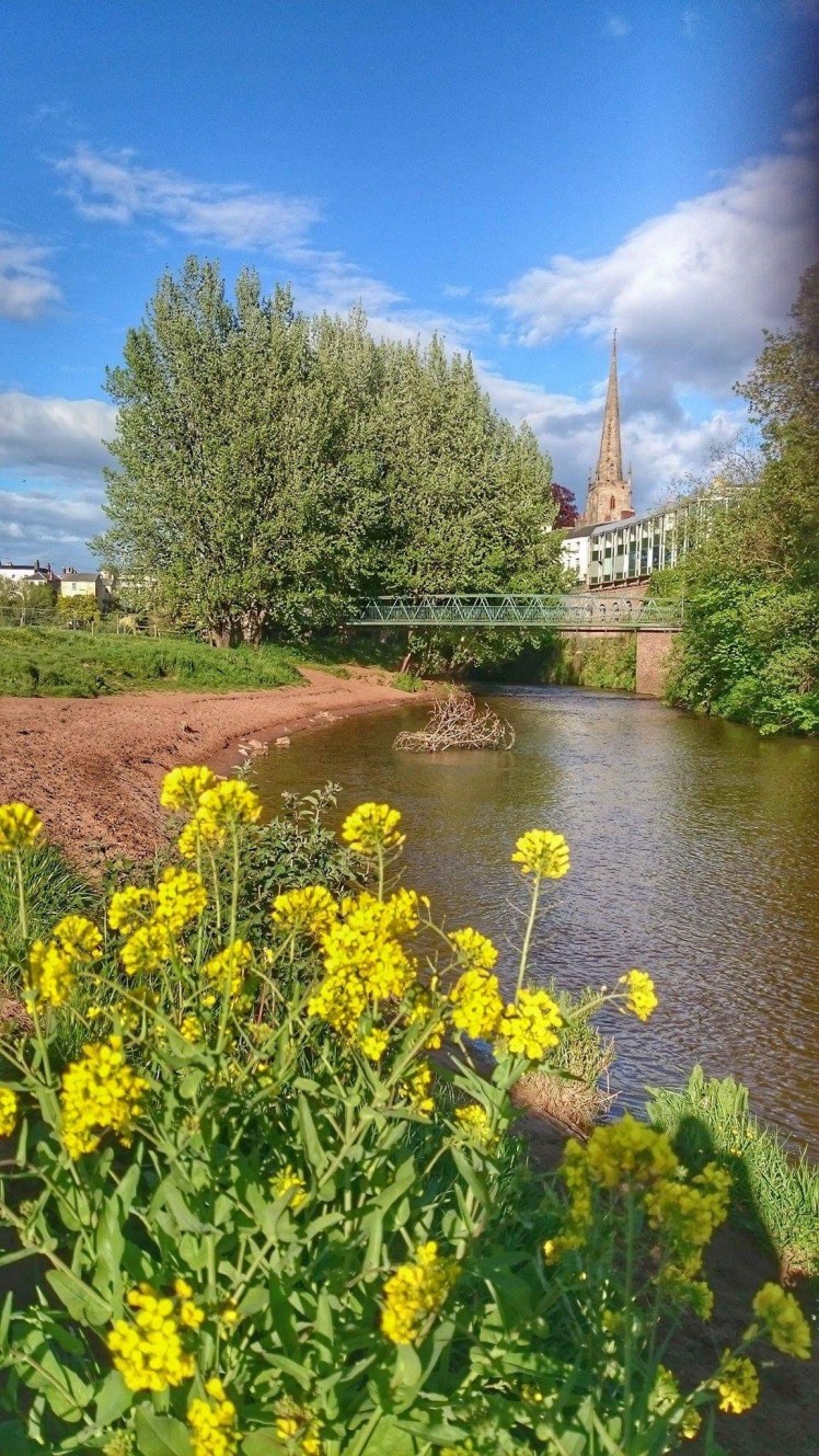 image of the river monnow